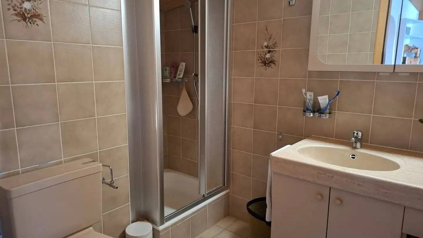 Appartamento in affitto - Route Du Bisse 32, 3967 Vercorin - Foto 4