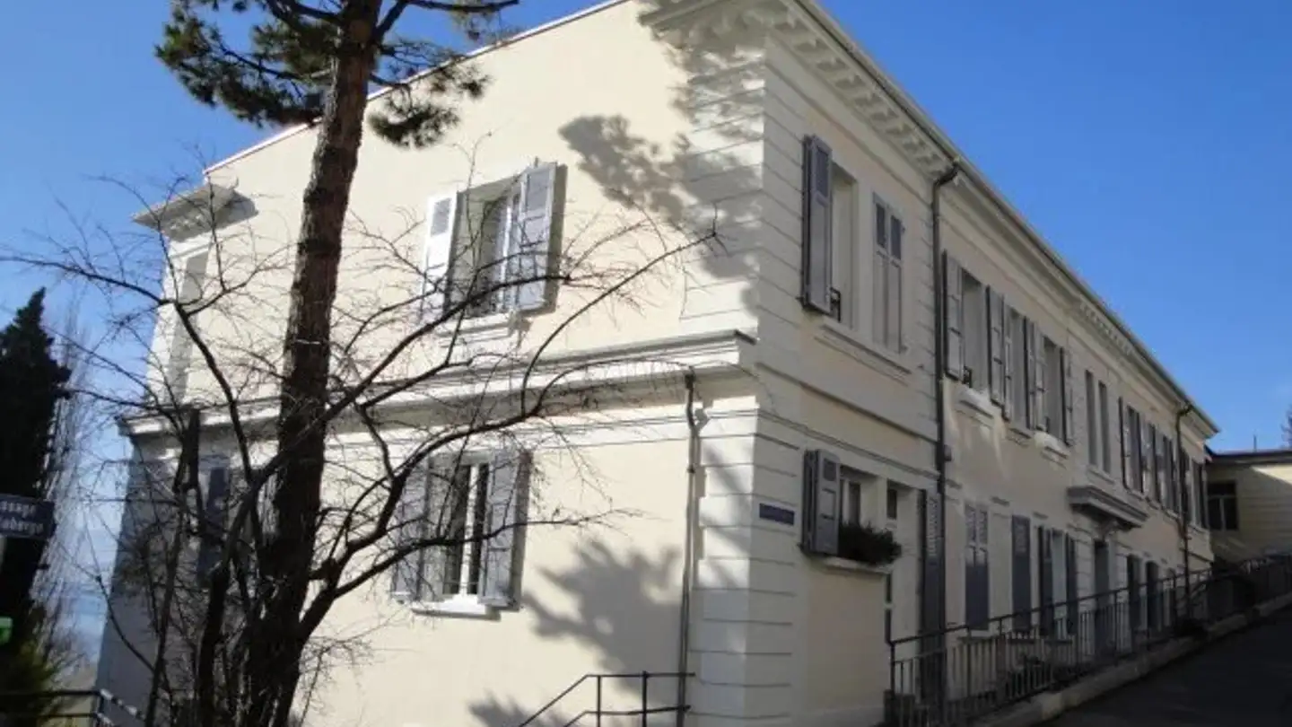 Appartement à louer - Rue Du Bocherex 2, 1820 Territet