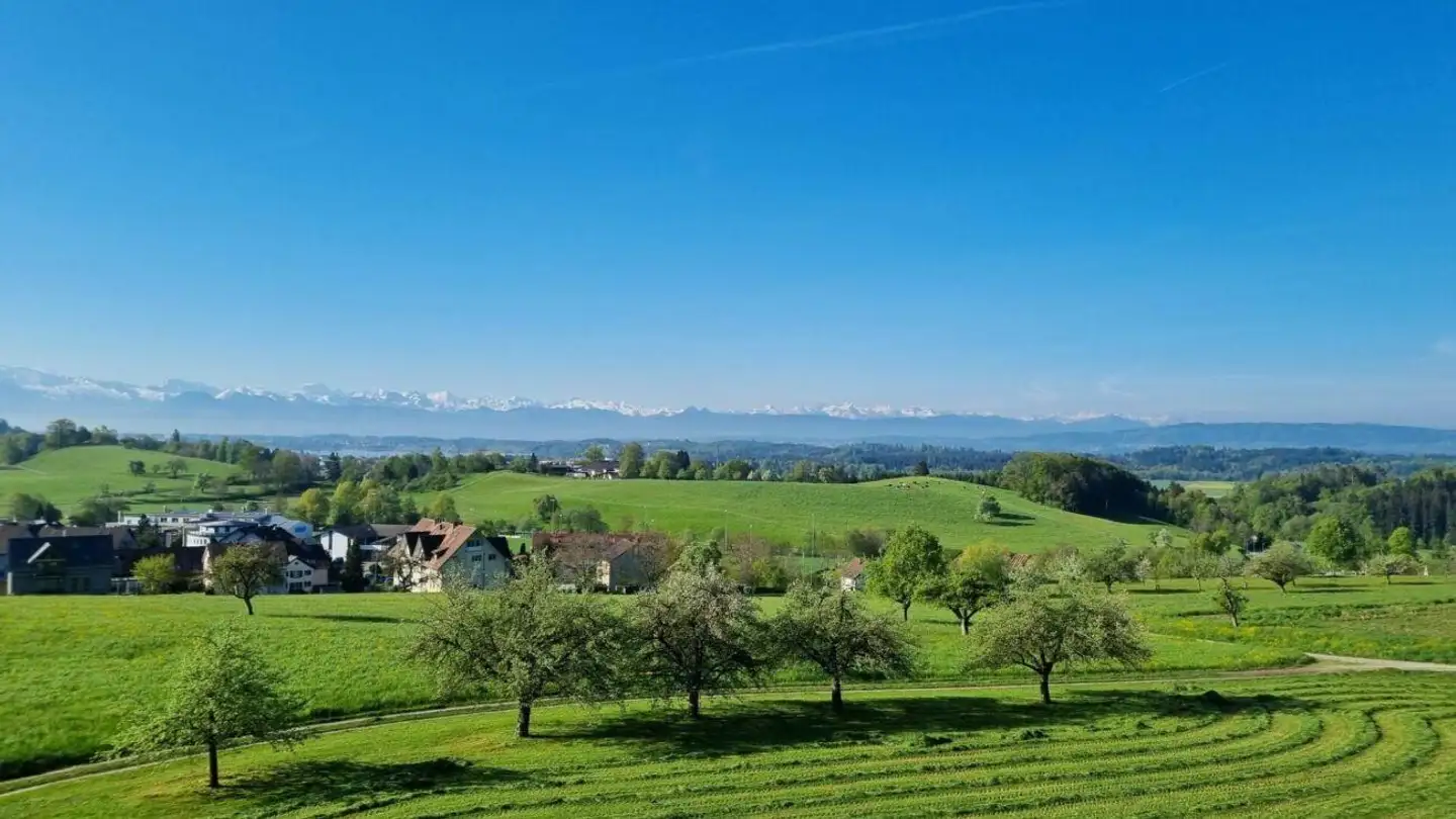 Penthouse kaufen - Berggasse 25, 8332 Russikon