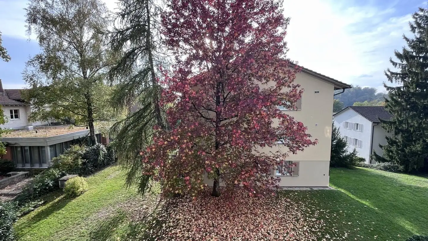 Chambre à louer - Russenweg, 8008 Zürich - Photo 4