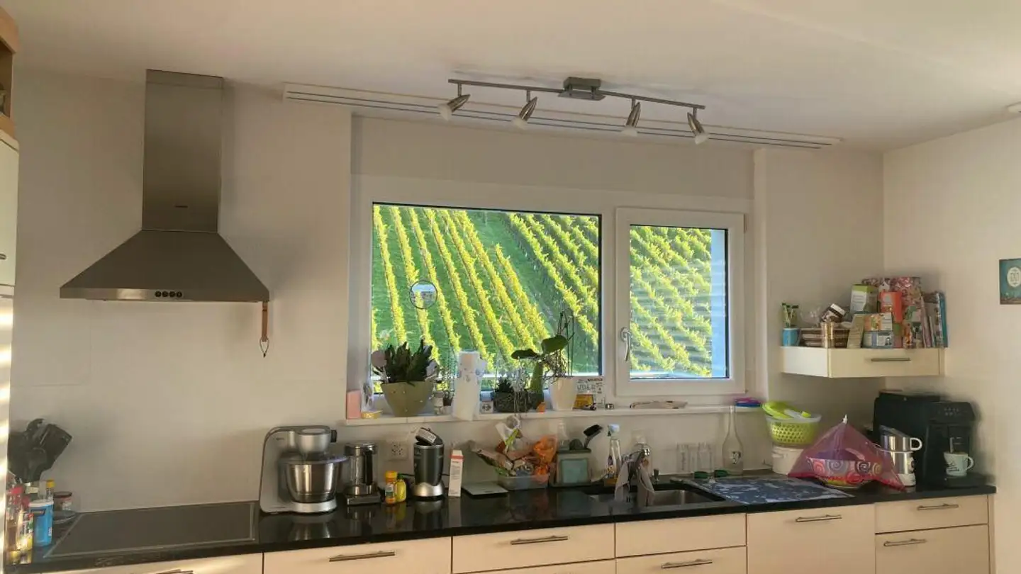 Attico in affitto - Rebenstrasse 14, 9425 Thal - Photo 3