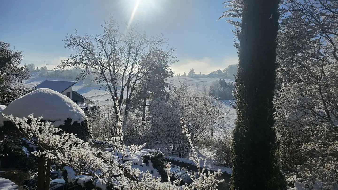 Einfamilienhaus mieten - 8620 Wetzikon ZH - Foto 4