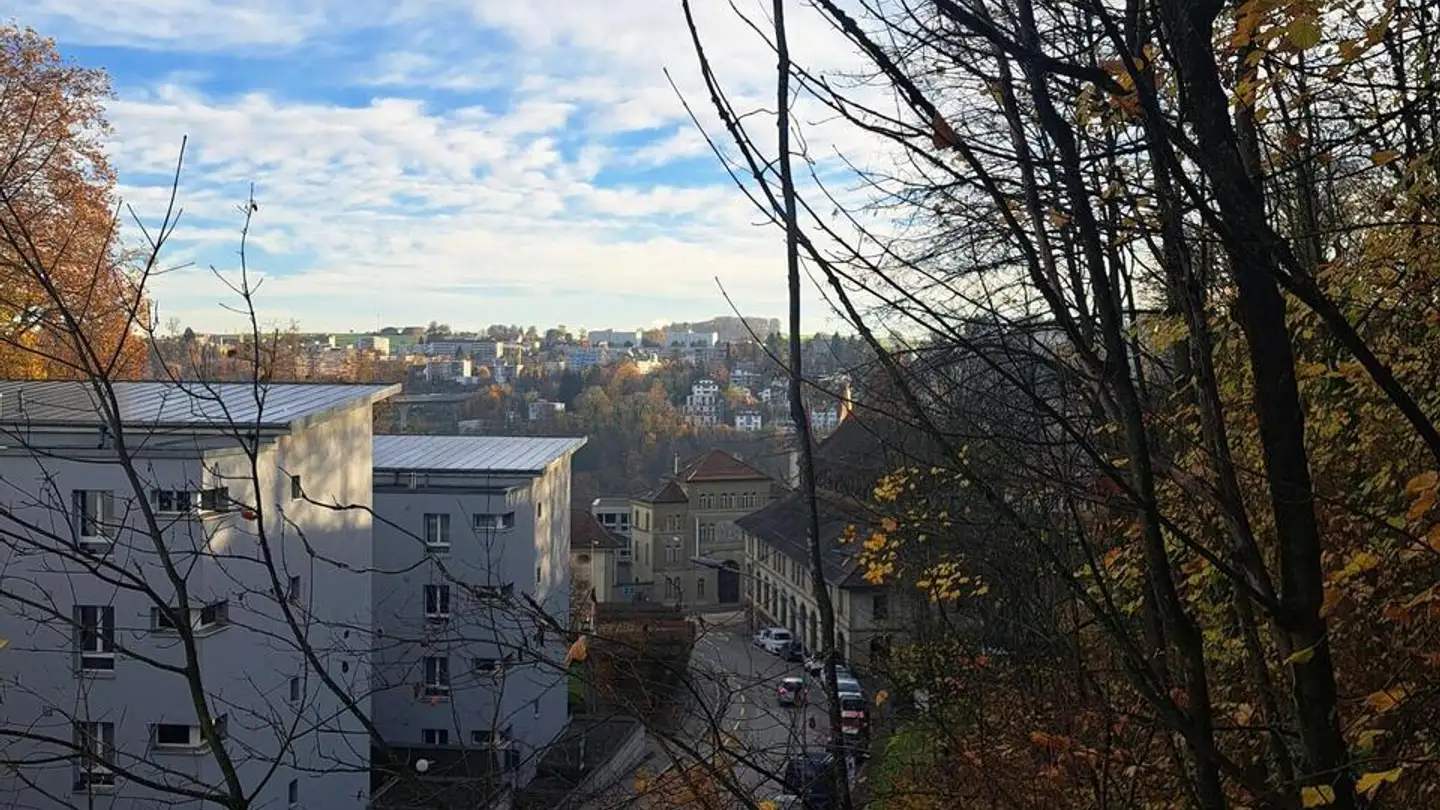 Wohnung mieten - Varis / Wallriss 20, 1700 Fribourg