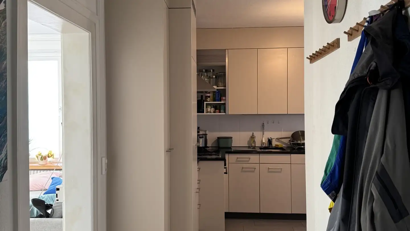 Chambre à louer - Militärstrasse 14, 8004 Zürich - Photo 3