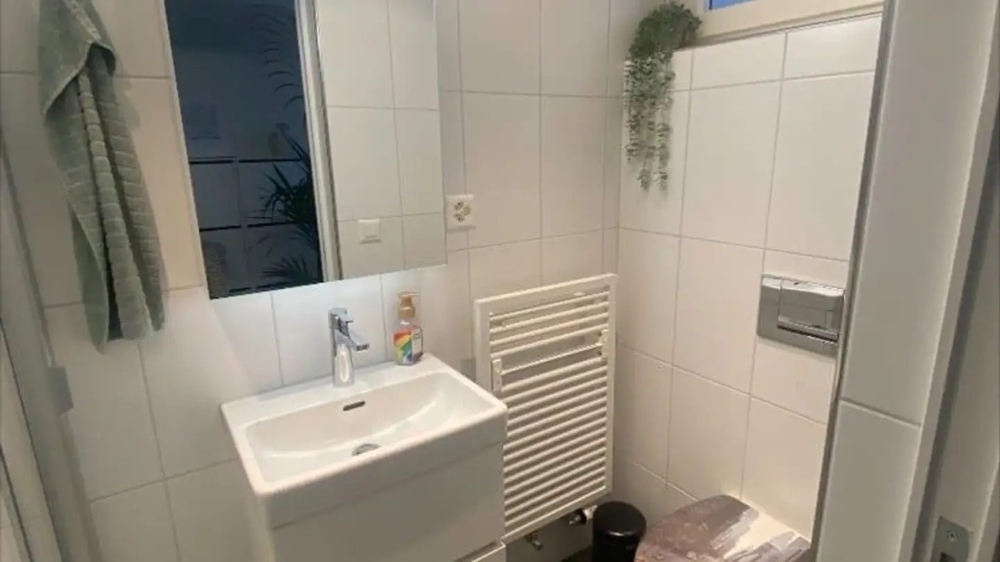 Semi-detached house for rent - 5105 Auenstein - Photo 4