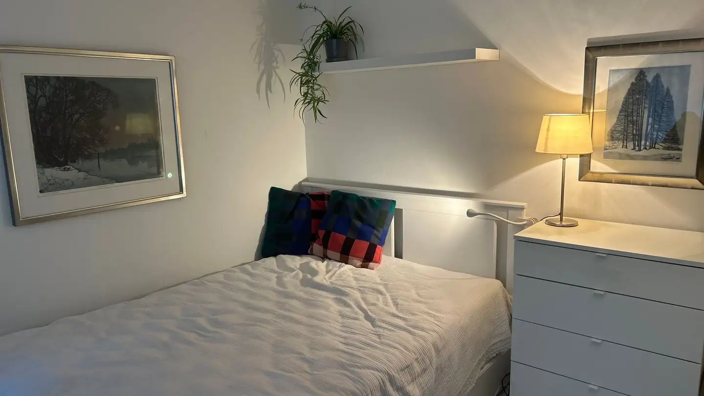 Appartamento ammobiliato in affitto - Hofstrasse, 8044 Zürich - Foto 2