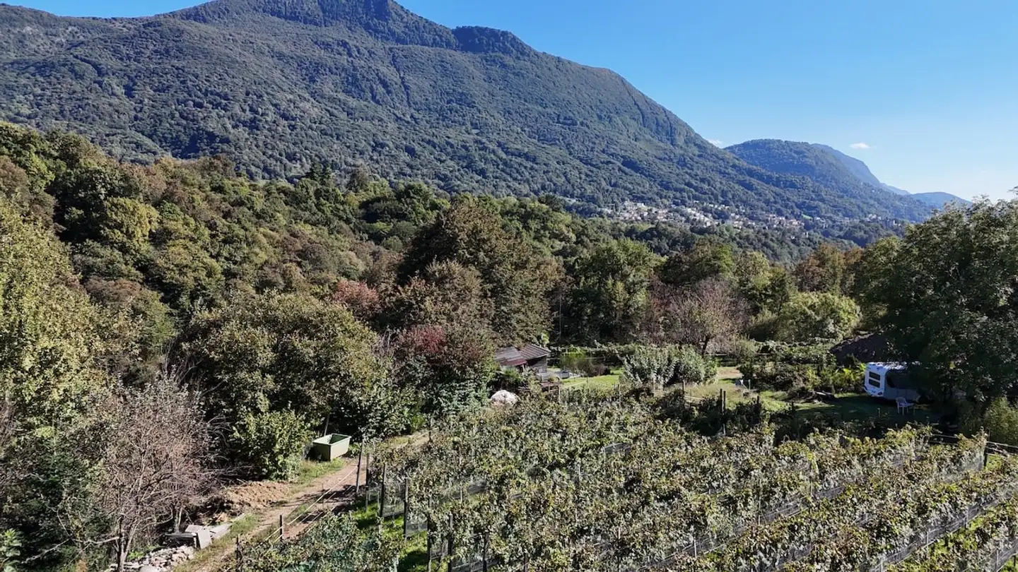 Appartamento in vendita - 6953 Lugaggia - Photo 3