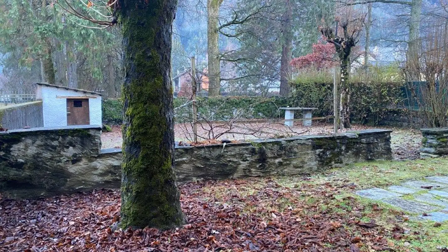 Studio in vendita - 6659 Camedo - Foto 4