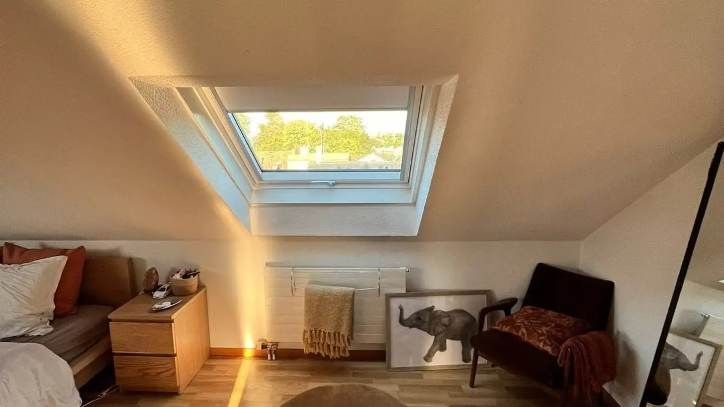 Appartamento in affitto - Chemin Du Pré-Colomb 24, 1290 Versoix - Photo 4