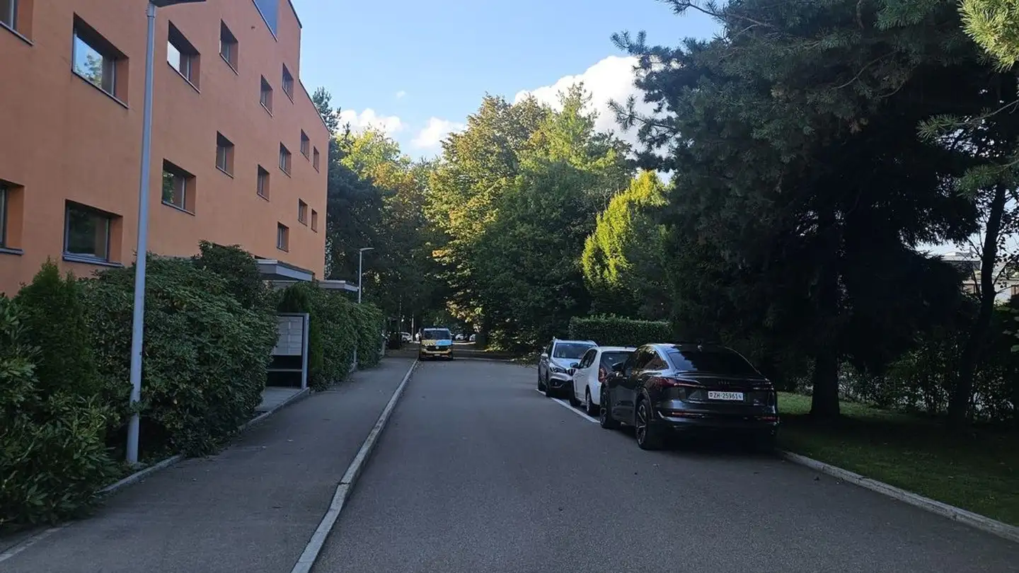 Stanza singola in affitto - 8125 Zollikerberg - Foto 2