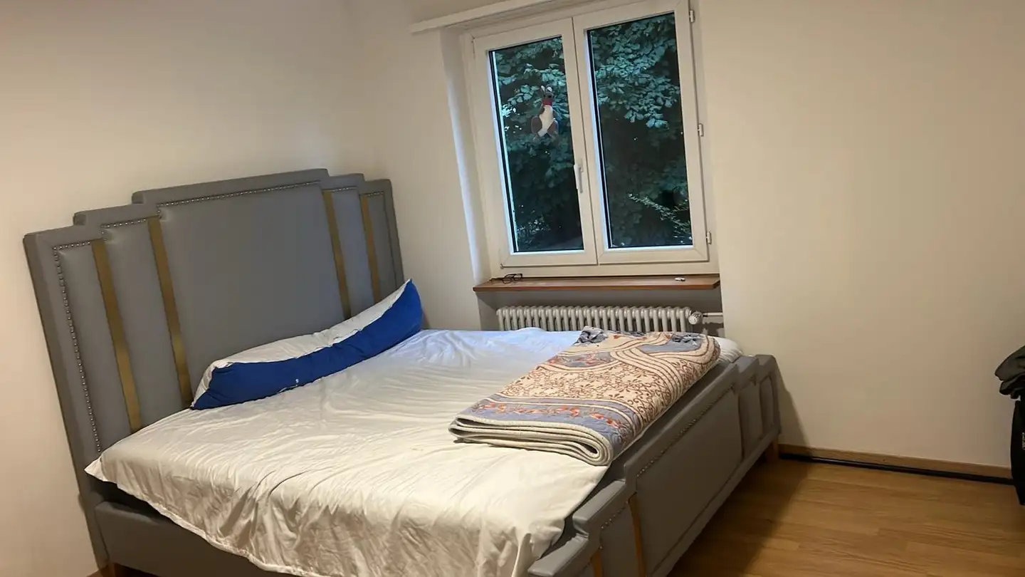 Single room for rent - Rapperswilerstrasse 25, 8620 Wetzikon ZH - Photo 2