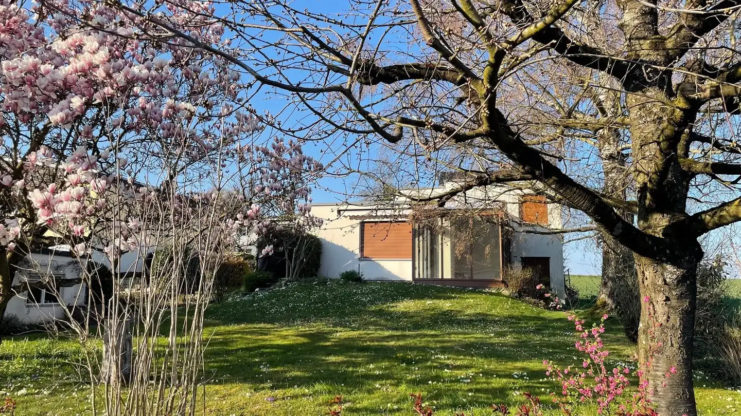 Maison individuelle à louer - Bahnweg 27, 4108 Witterswil - Photo 2
