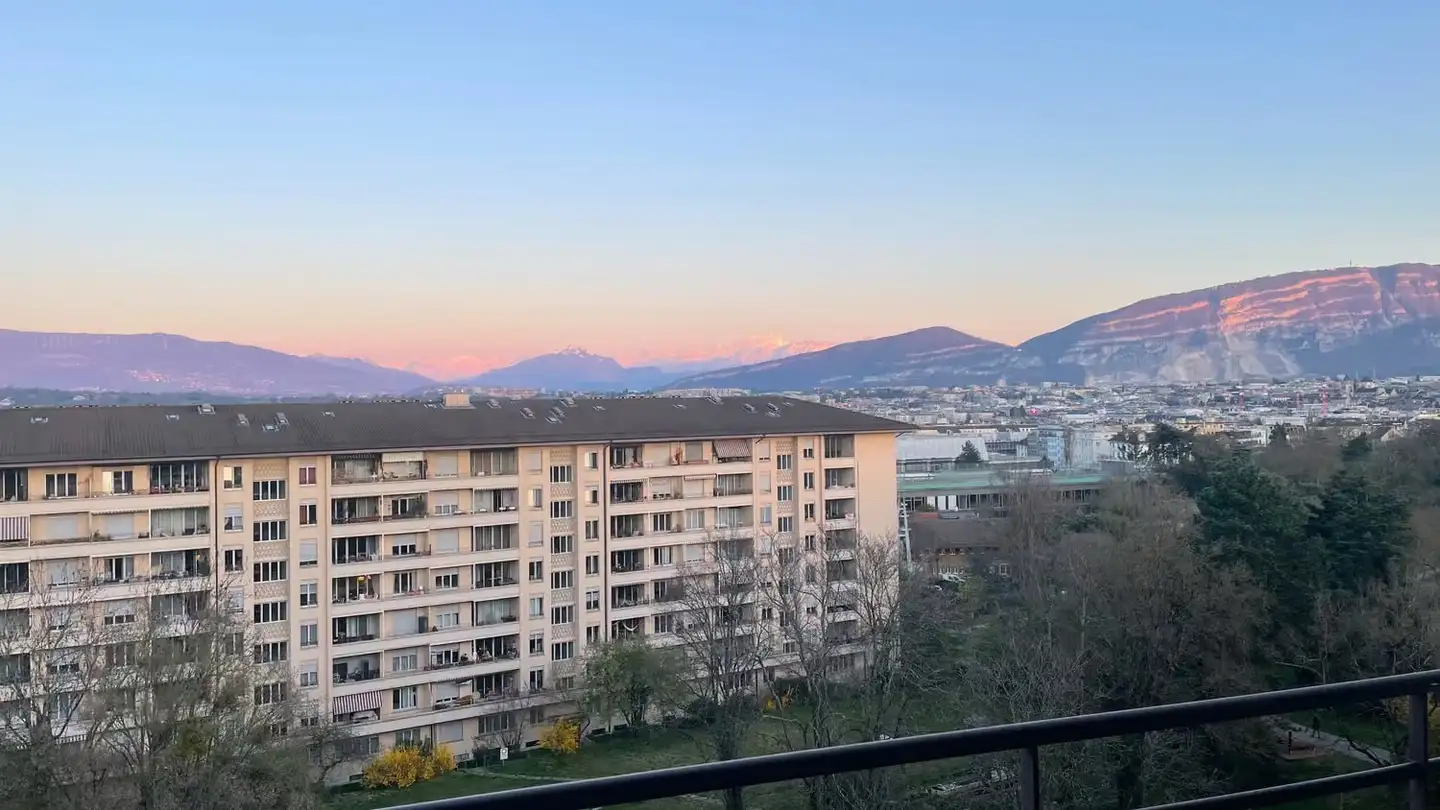 Appartamento in affitto - Rue Du Vidollet, 1202 Genève - Foto 4