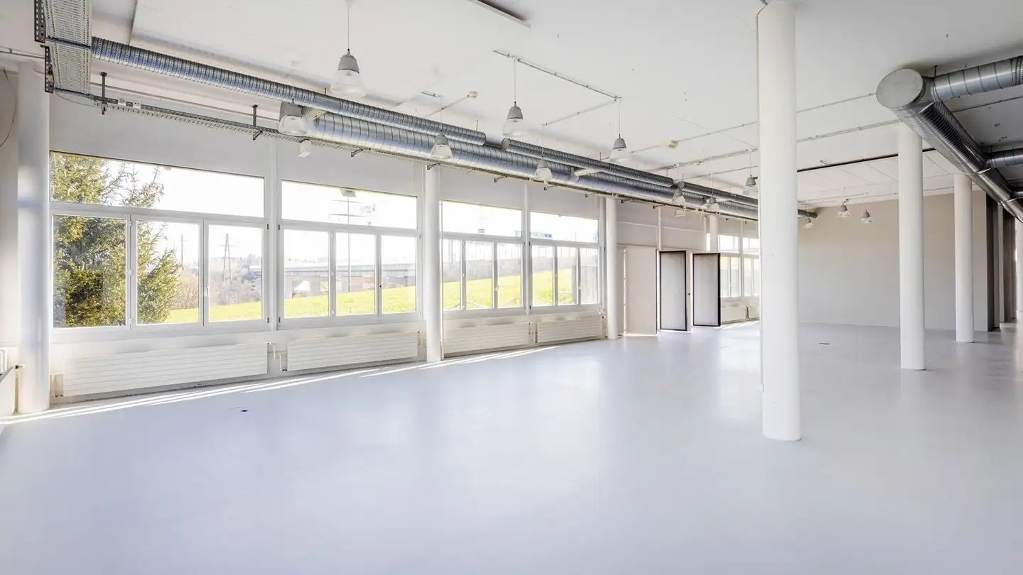 Magasin à louer - Brunnmatt 20, 6330 Cham