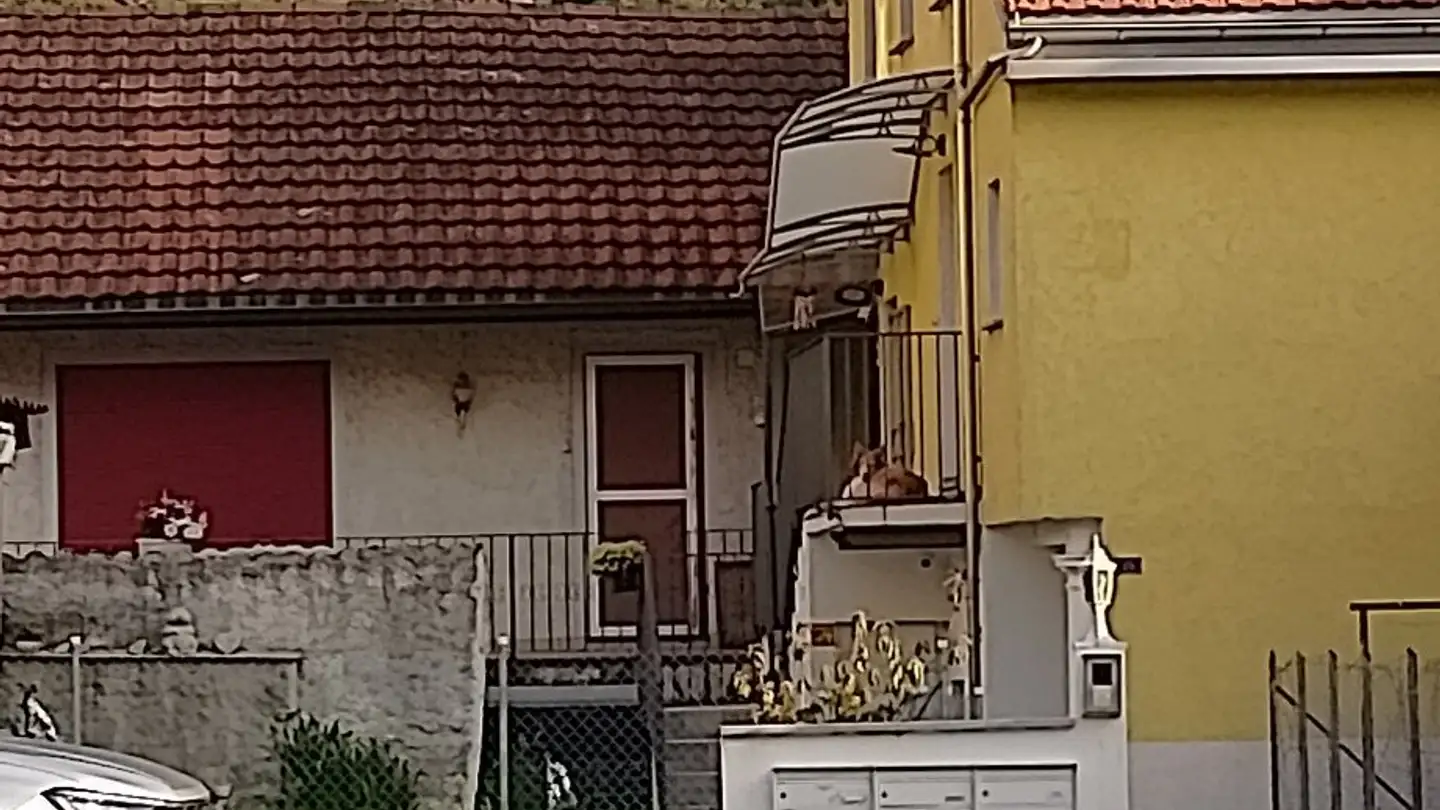 Wohnung kaufen - Via Ricciadino 25, 6518 Gorduno