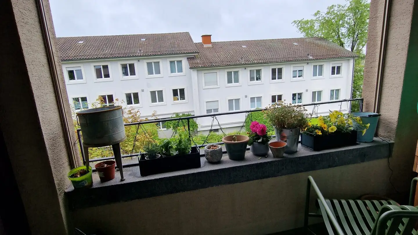 Wohnung mieten - 8053 Zürich - Foto 4