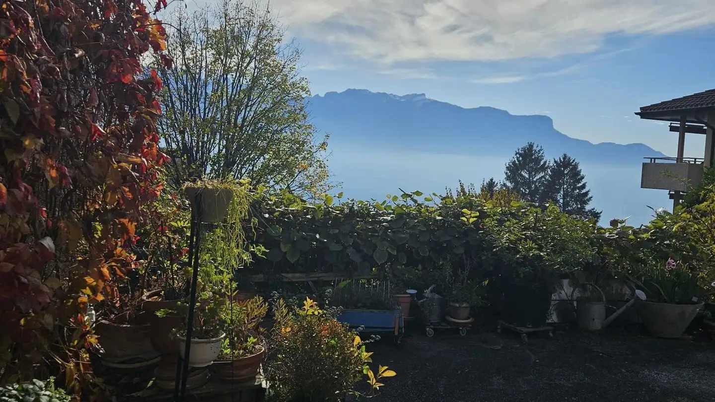 Attico in affitto - Avenue Félix-Cornu 33, 1802 Corseaux