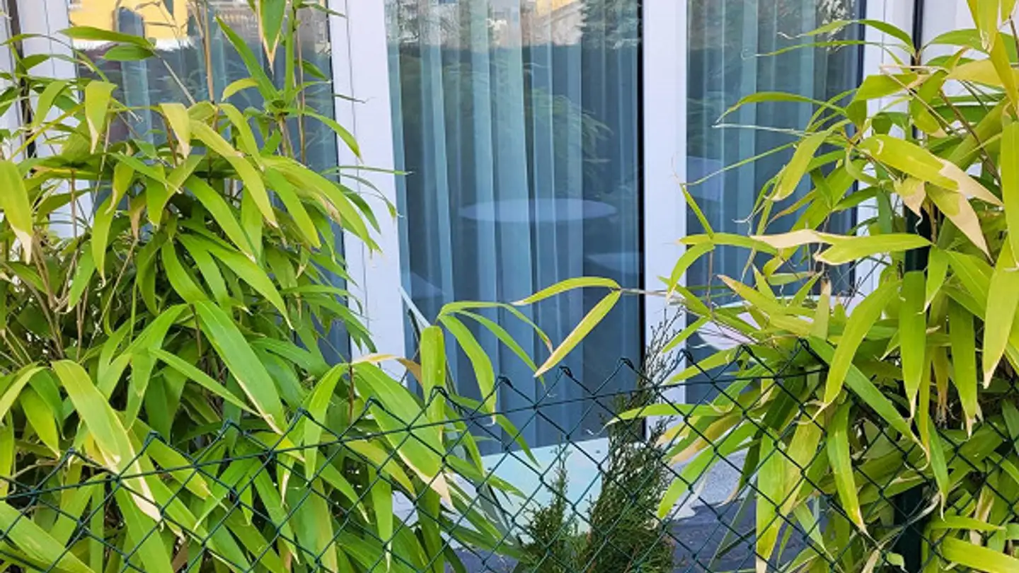 Wohnung mieten - Sarganserstrasse 35, 7310 Bad Ragaz - Foto 2