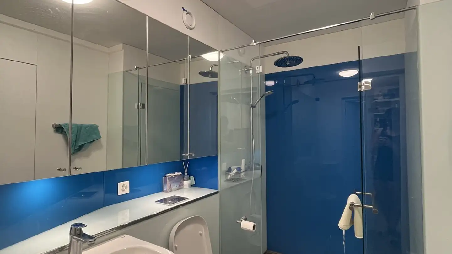 Appartement meublé à louer - Neunbrunnenstrasse 52, 8050 Zürich
