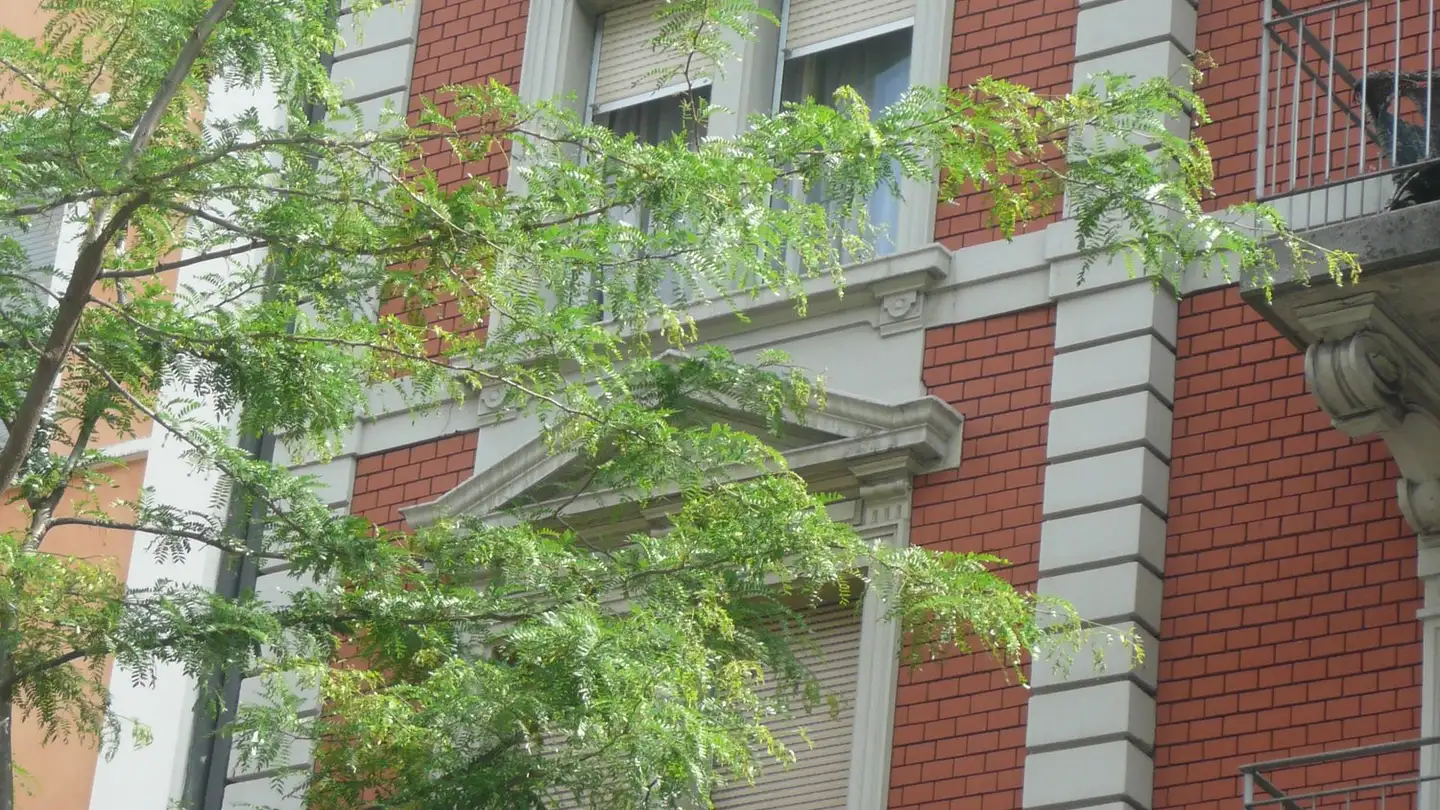 Edificio ad uso misto in affitto - Bäckerstrasse 60, 8004 Zürich