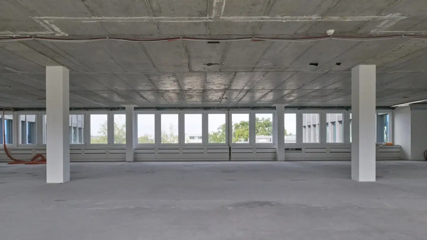 Bürofläche mieten - Friesenbergstrasse 75, 8055 Zürich - Foto 3