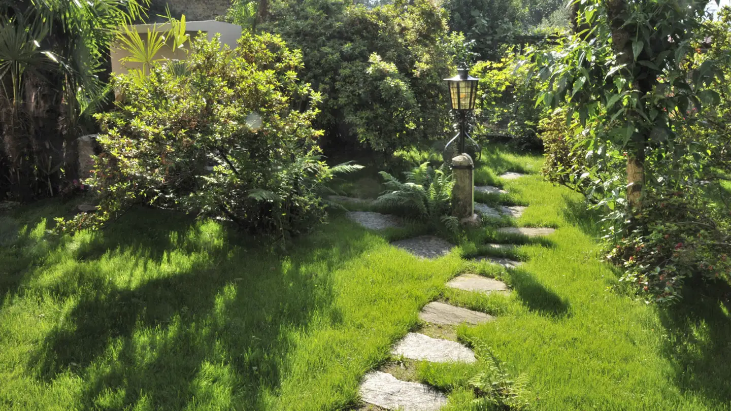 Appartamento in affitto - Contrada Mornée 14, 6984 Pura - Foto 3