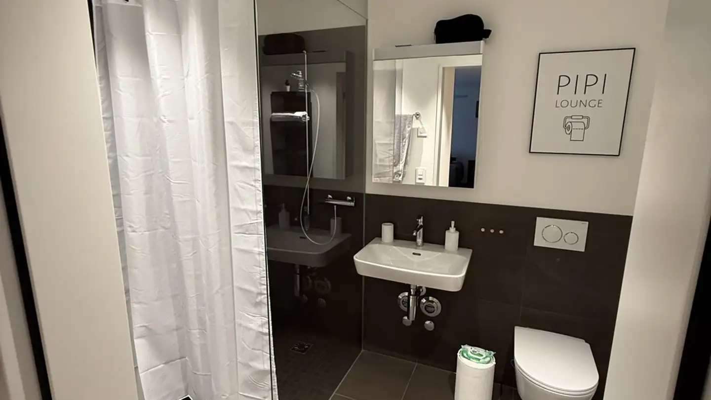 Appartamento in affitto - Breitestrasse 1, 8552 Felben-Wellhausen - Foto 3