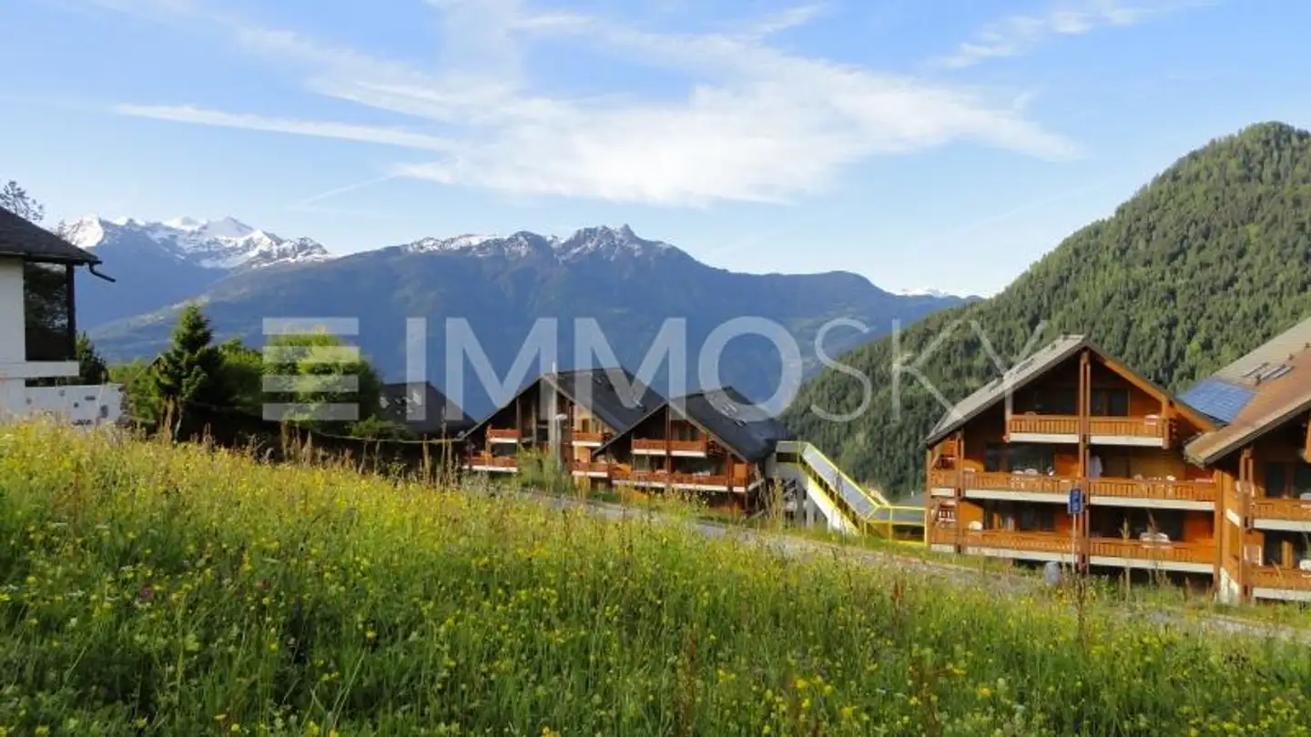 Property for sale - 1911 Ovronnaz - Photo 2