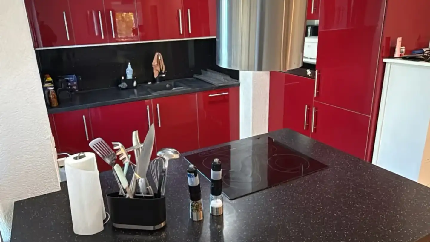 Wohnung mieten - Wellhauserweg 48, 8500 Frauenfeld