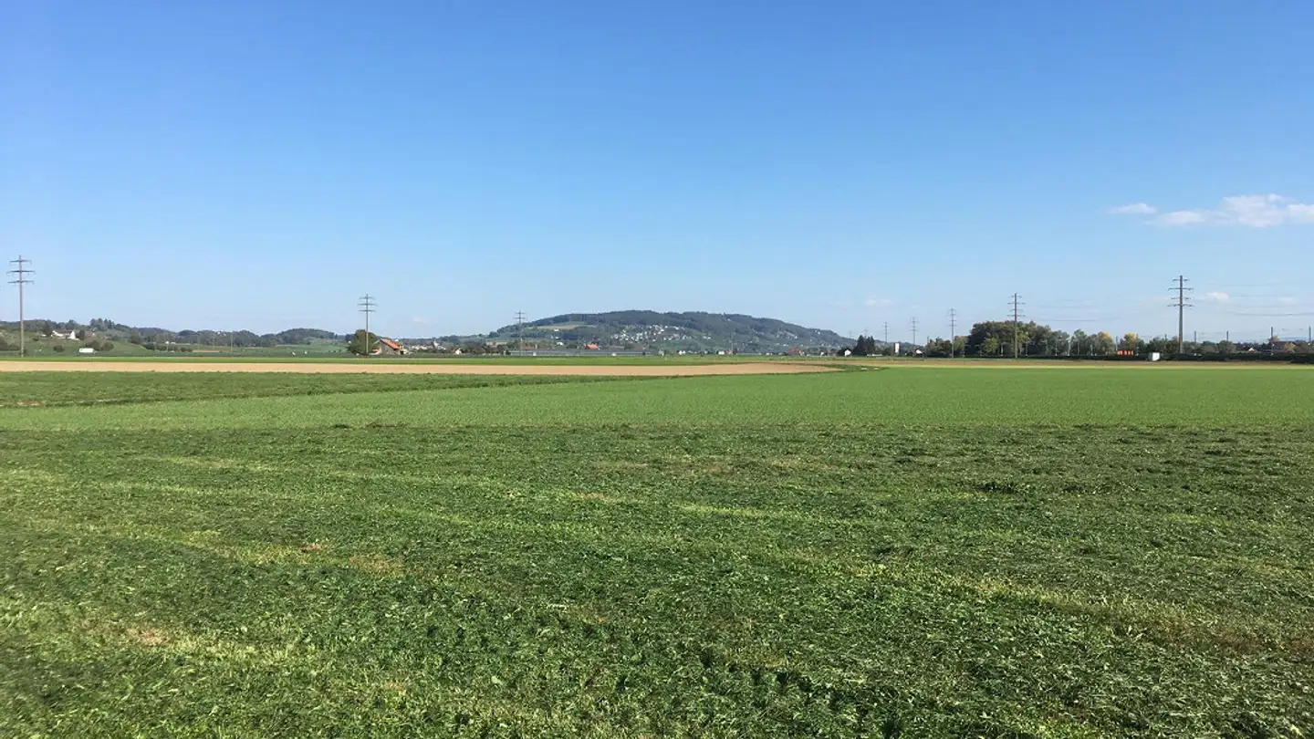 Attique à louer - Bahnhofstrasse 8, 8554 Müllheim-Wigoltingen
