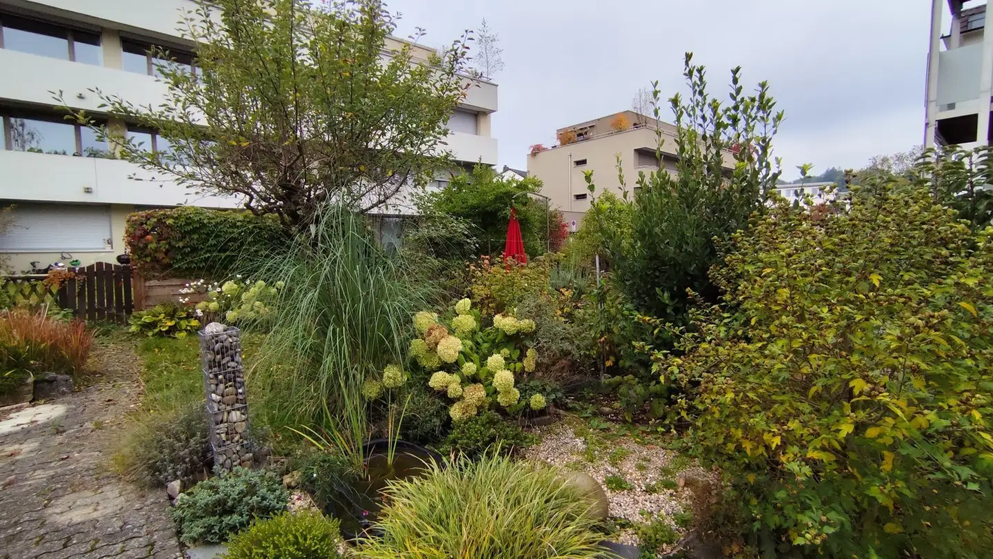 Einfamilienhaus mieten - Steinackerweg, 8047 Zürich - Foto 4