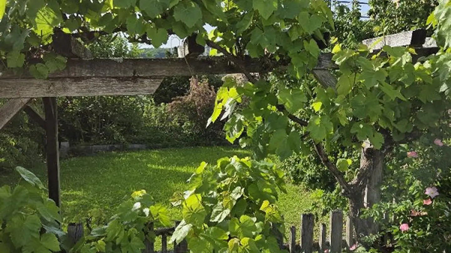 Maison individuelle à louer - Sonnenweg 27, 4466 Ormalingen - Photo 2
