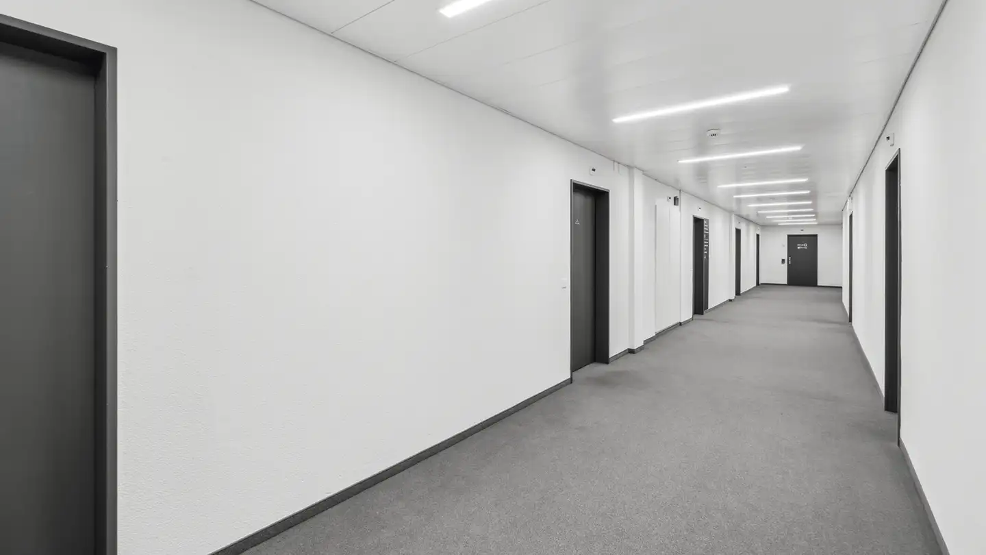 Commerciale in affitto - Honeywell-Platz 1, 8157 Dielsdorf - Photo 2