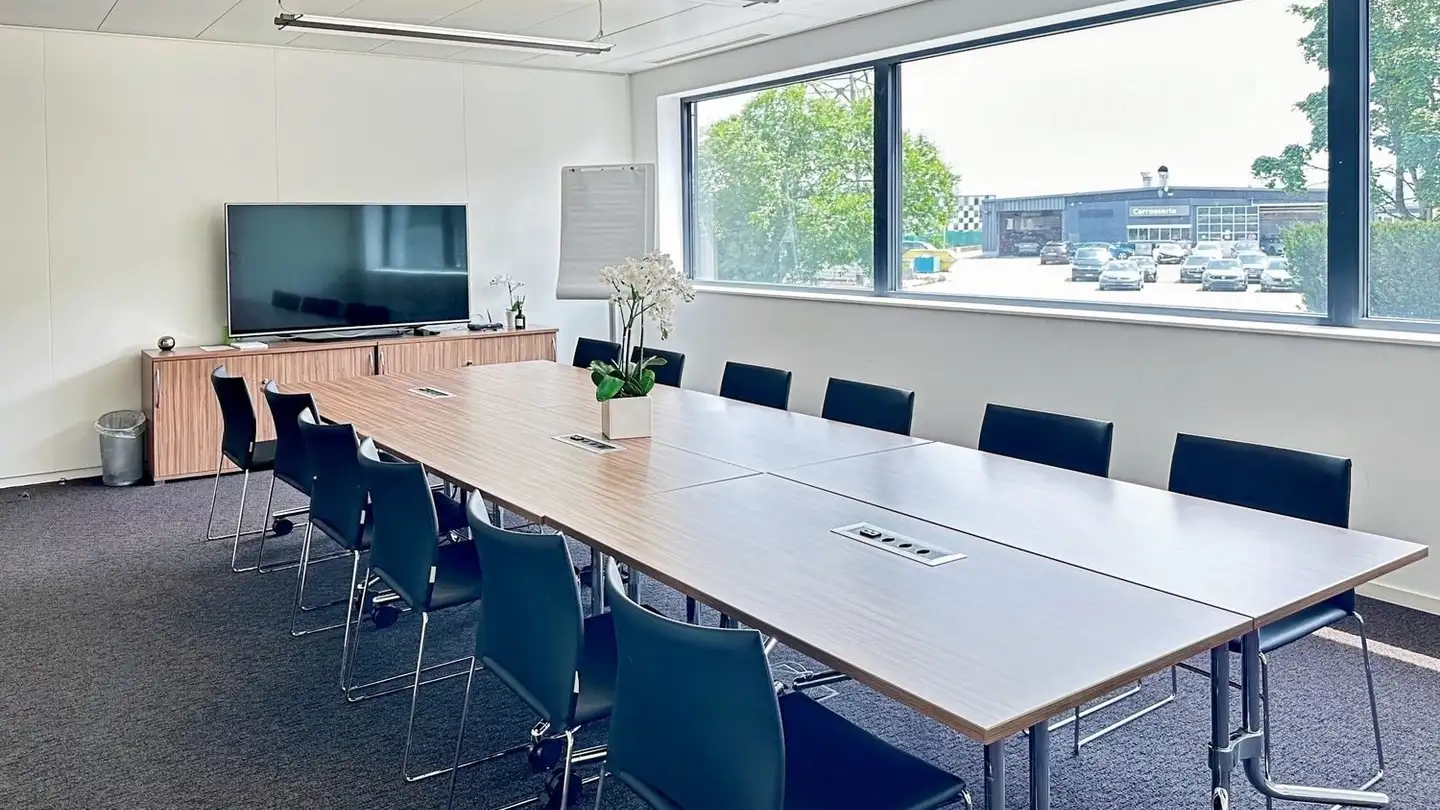 Gewerbe mieten - Route De Crassier 7, 1262 Eysins