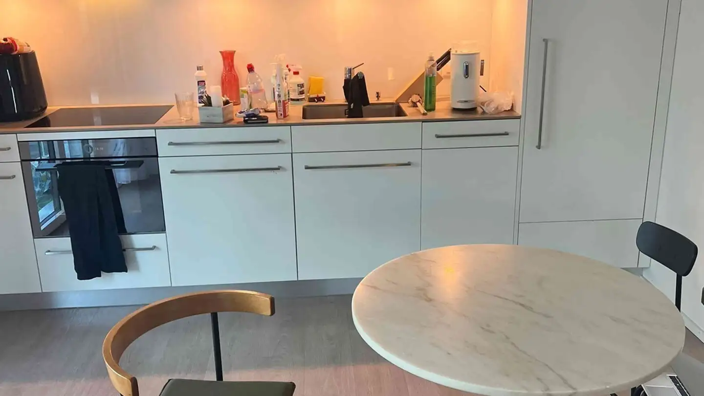 Furnished apartment for rent - 8600 Dübendorf - Photo 3