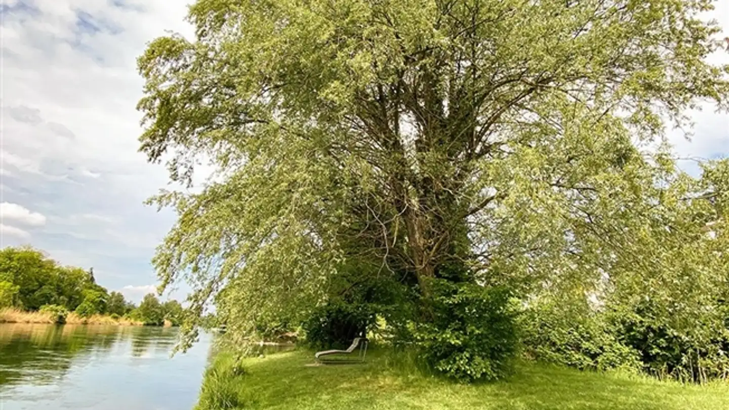 Appartamento a gradini in vendita - 8955 Oetwil an der Limmat