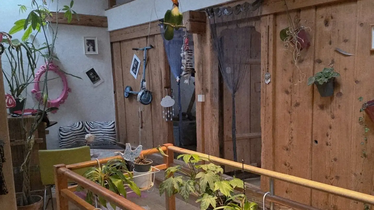 Appartement à louer - Rue Du Bourg 45, 1663 Gruyères - Photo 4