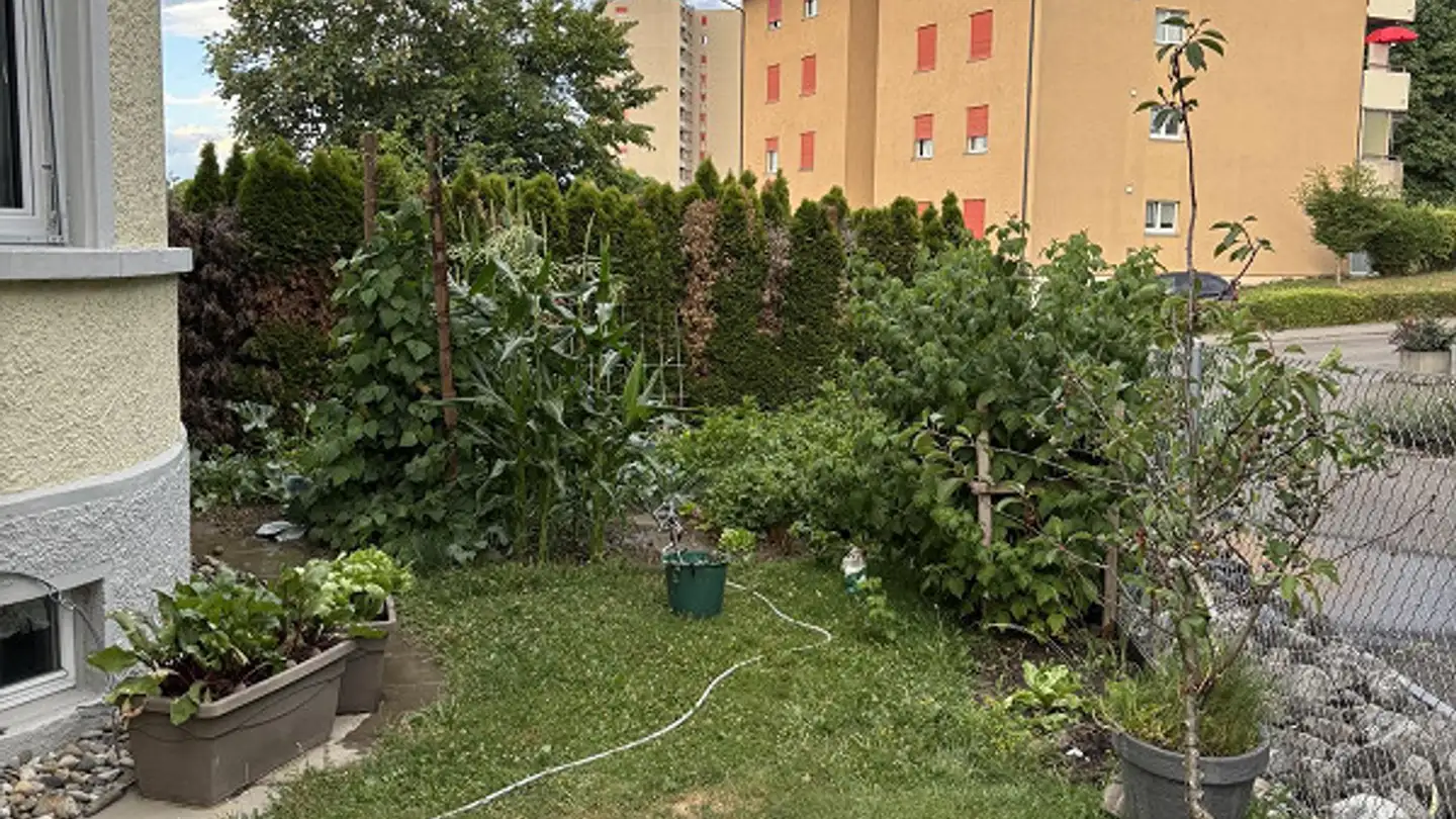 Appartamento in affitto - Rütistrasse 31, 8580 Amriswil - Foto 2