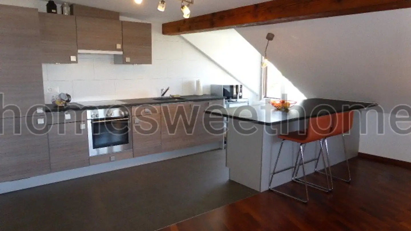 Furnished apartment for rent - Rue Des Délices, 1203 Genève - Photo 3