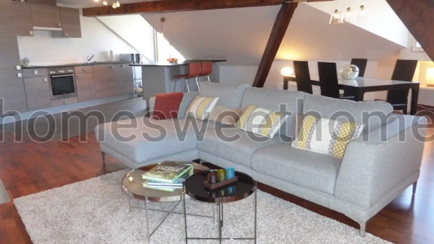 Furnished apartment for rent - Rue Des Délices, 1203 Genève - Photo 2