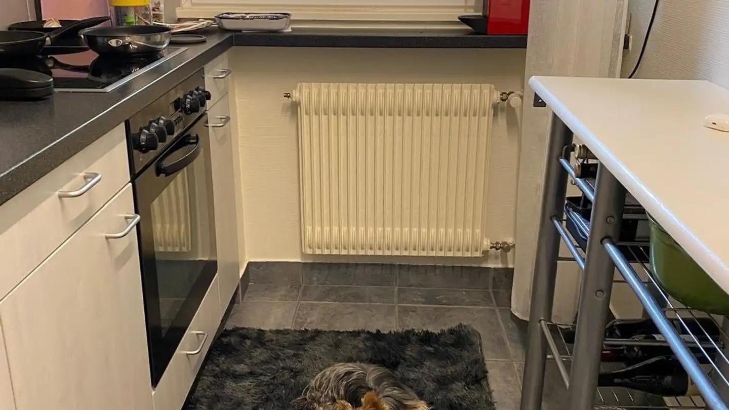 Appartement à louer - Avenue De Chillon 51, 1820 Territet - Photo 4