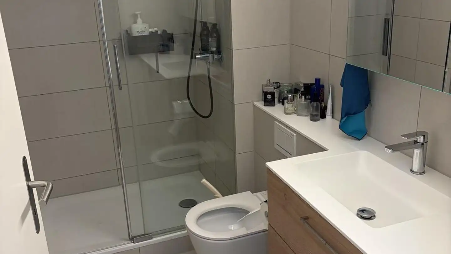 Apartment for rent - Rosenmattstrasse 25, 4133 Pratteln - Photo 3