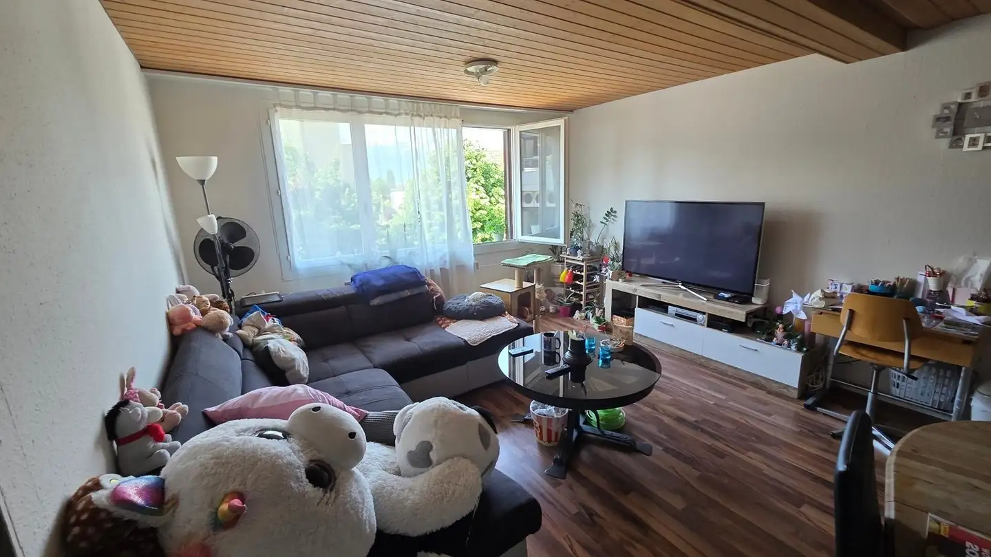 Appartamento in affitto - Schreinerweg, 3612 Steffisburg - Foto 4