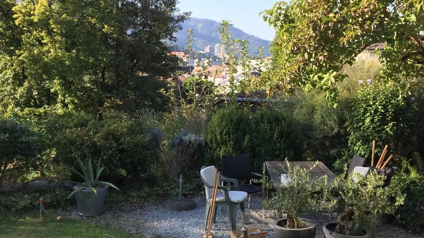 Chambre à louer - 8134 Adliswil - Photo 4