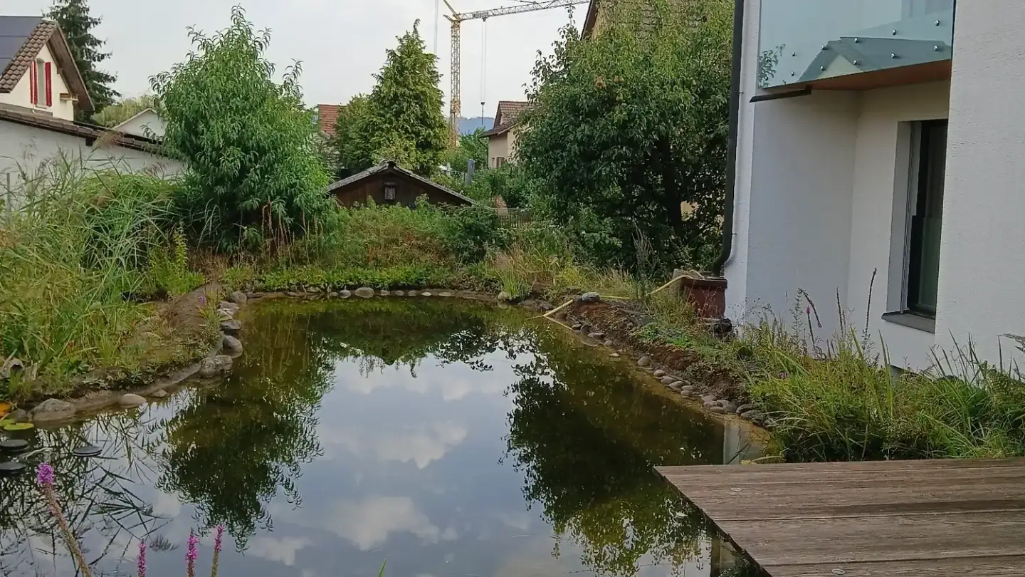 Single room for rent - Büntenweg 9, 5603 Staufen