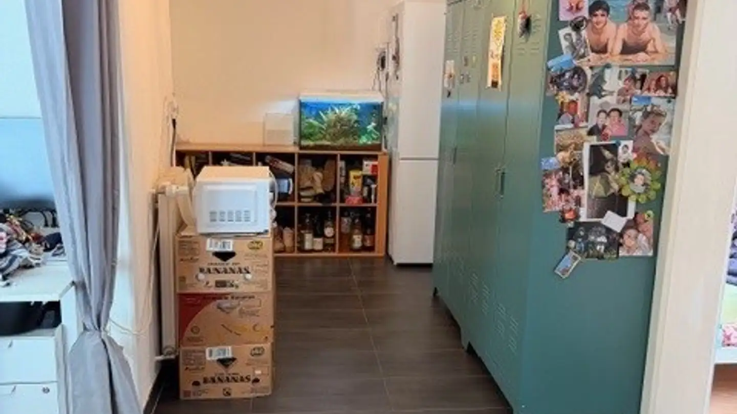 Appartamento in affitto - Rue Du Vieux-Port 5, 1896 Vouvry - Foto 3