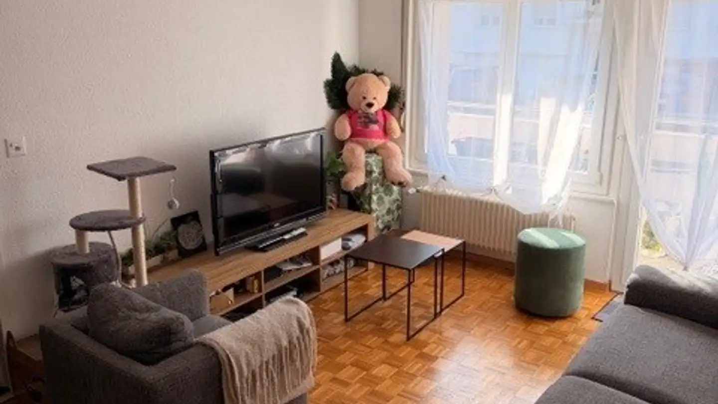 Appartamento in affitto - Rue Du Vieux-Port 5, 1896 Vouvry