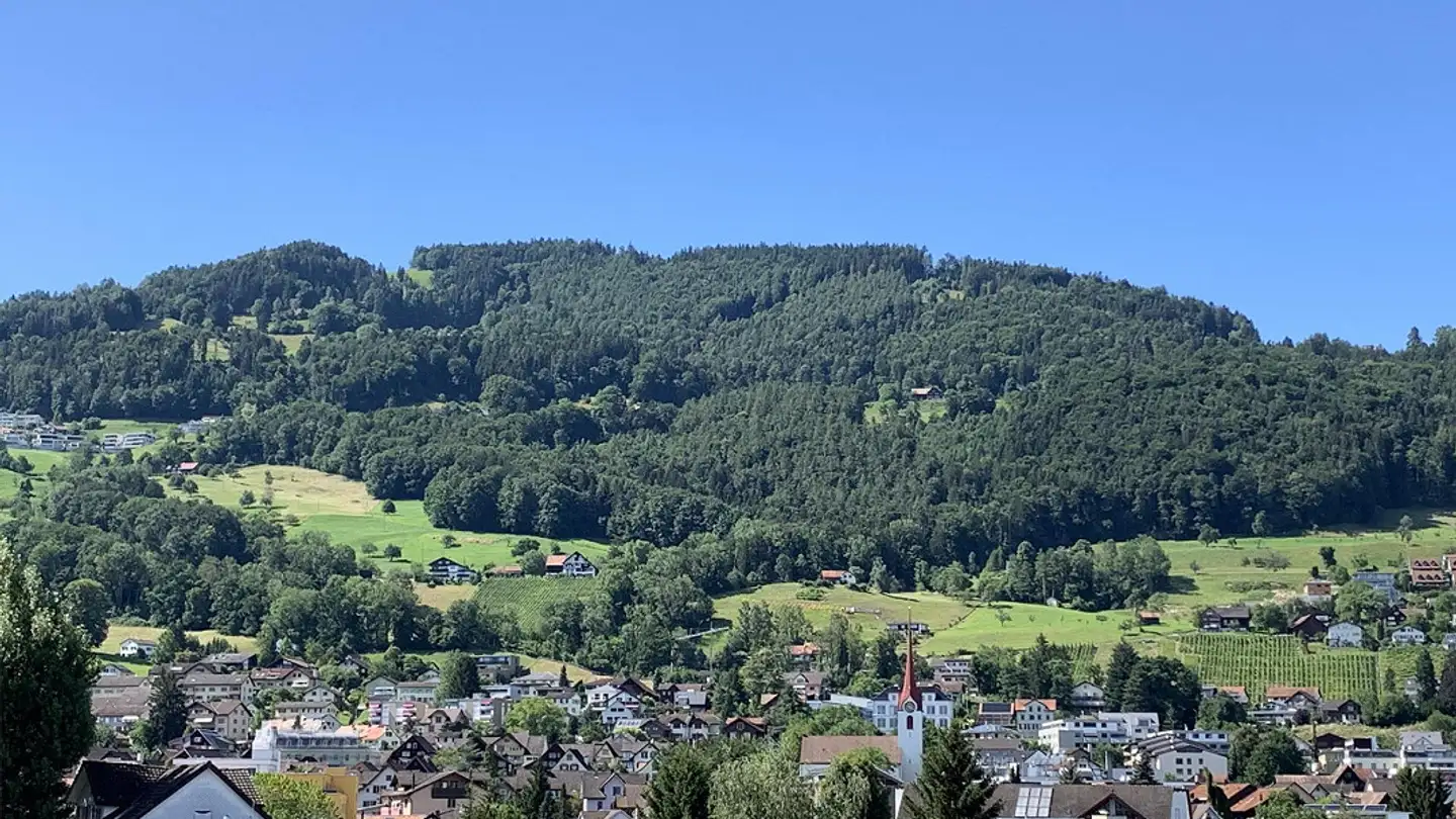 Attique à louer - Weedstrasse 4, 9445 Rebstein - Photo 2