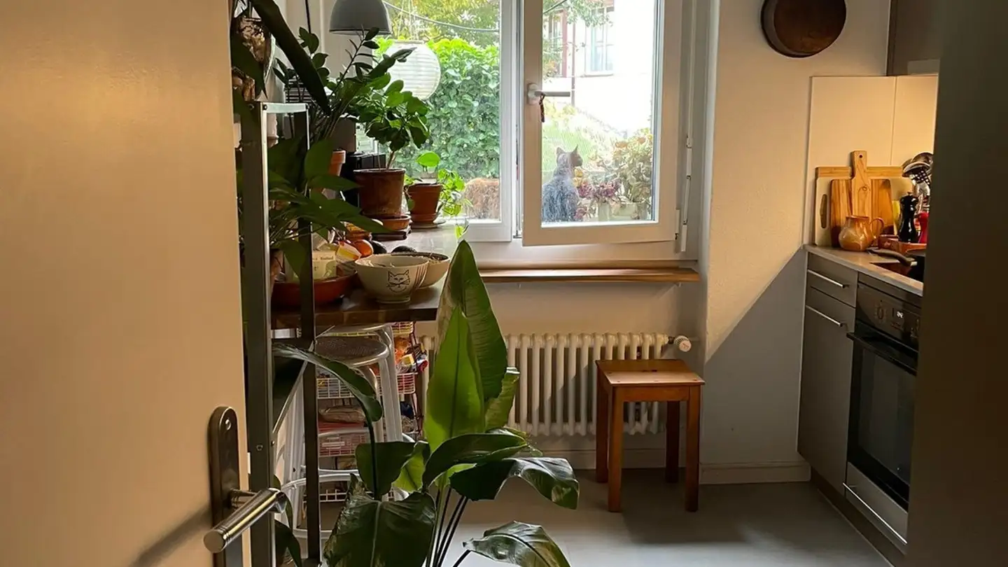 Zimmer mieten - Badenerstrasse 733, 8048 Zürich