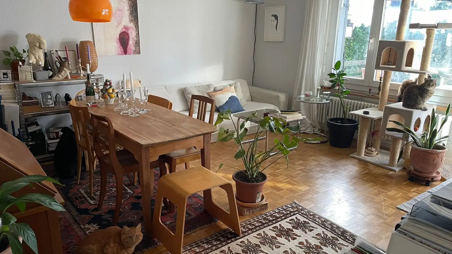 Stanza singola in affitto - Badenerstrasse 733, 8048 Zürich - Foto 2